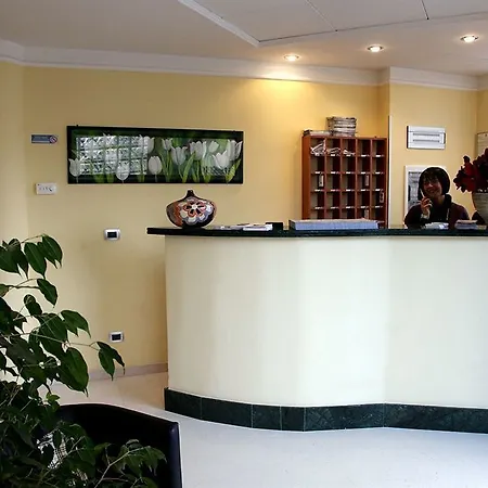Hotel Idria 3*